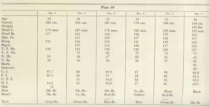 Plate 39